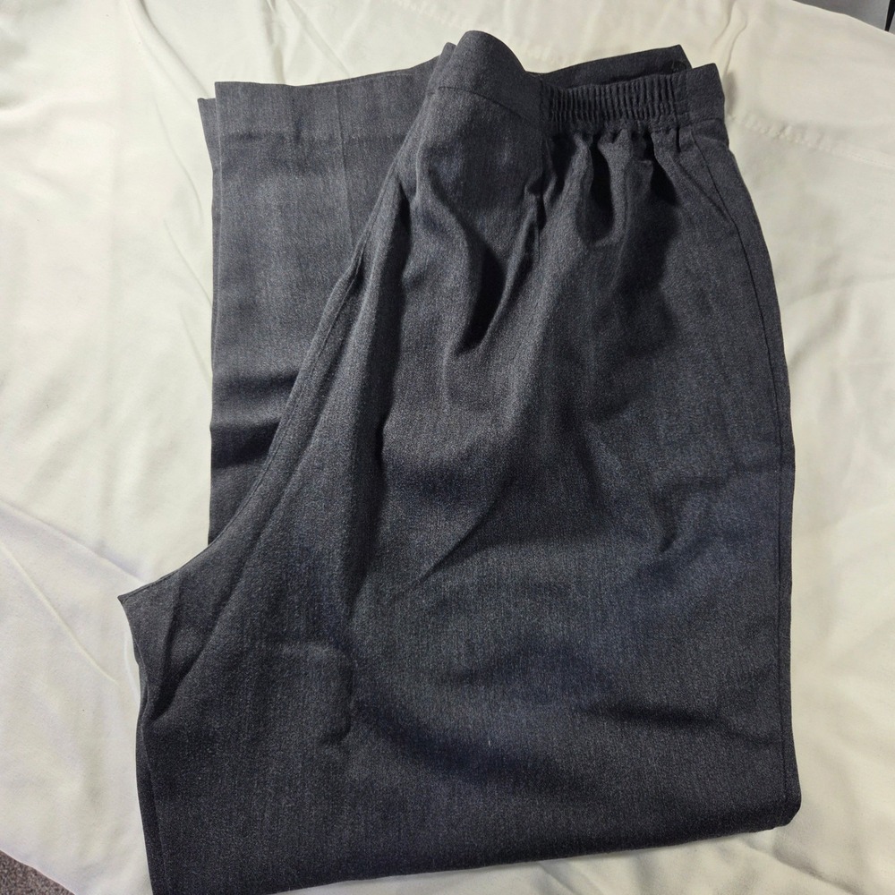 Elisabeth Liz Claiborne Womens Size 20 Gray Pleated Elastic Back Dress Pants
